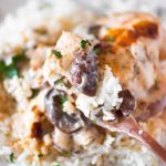 cream of mushroom chicken over rice with sherry and mushrooms