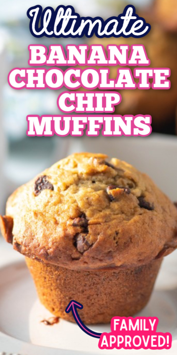 This is the best Banana Chocolate Chip Muffin recipe! Super moist and easy to make, these muffins are perfect for breakfast, brunch or even an afternoon snack! #bananachocolatechipmuffins #easybrunchrecipes #easymuffinrecipes #gogogogourmet via @gogogogourmet