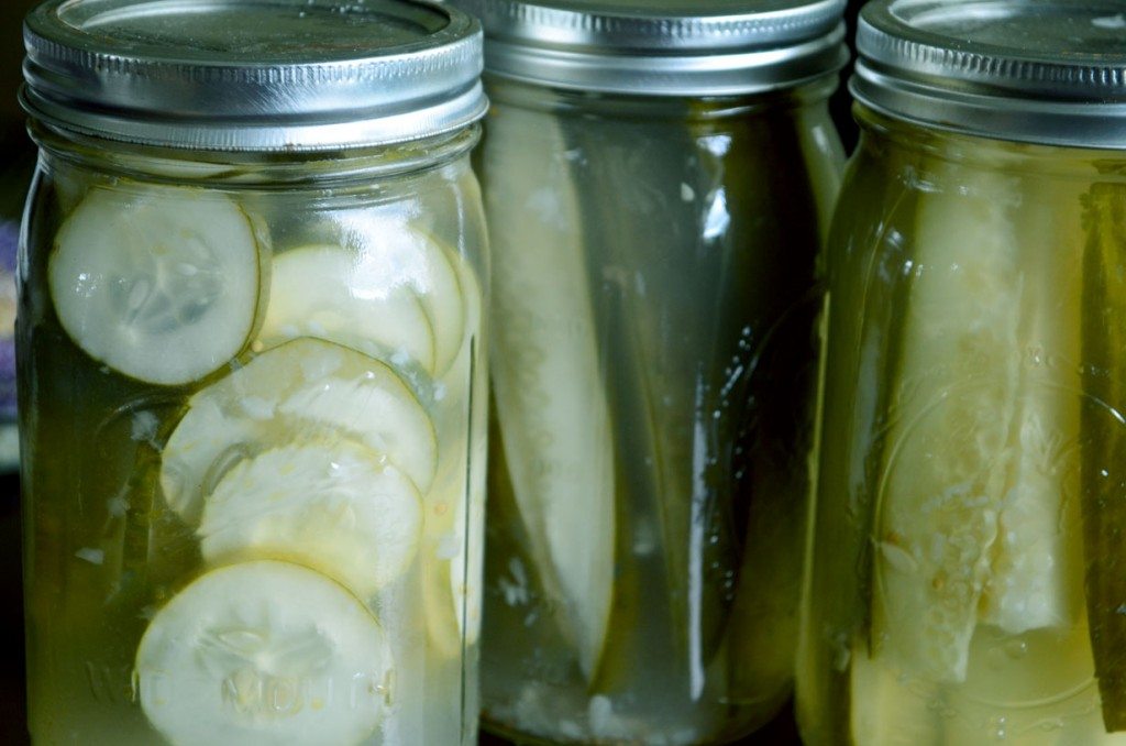 Refrigerator Pickles | Go Go Go Gourmet @gogogogourmet