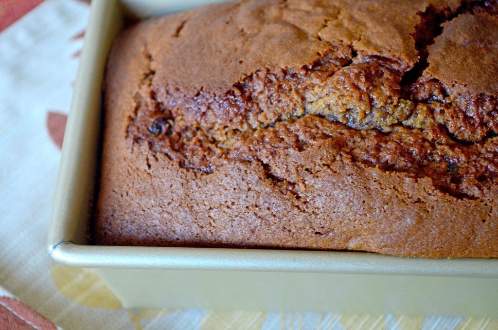 This pumpkin bread is flavored with citrus and studded with cranberry, for a truly unique fall treat! | Go Go Go Gourmet