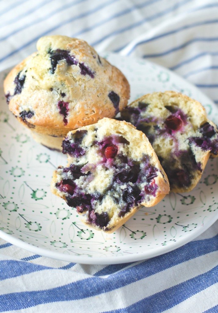 Bakery Lemon Blueberry Muffins | Go Go Go Gourmet @gogogogourmet