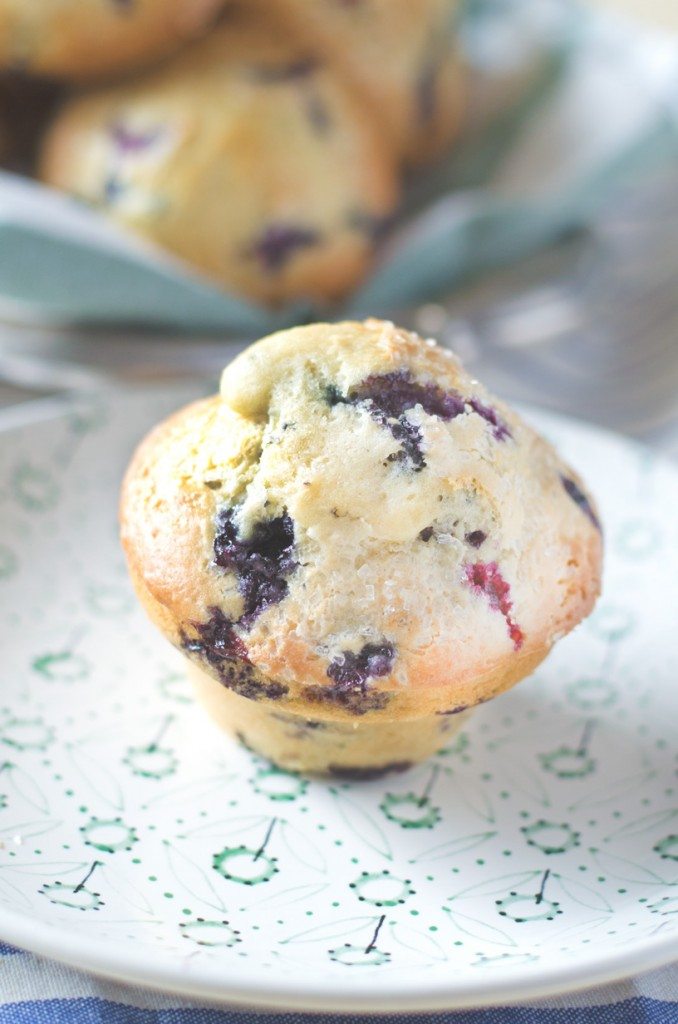 Bakery Lemon Blueberry Muffins | Go Go Go Gourmet @gogogogourmet