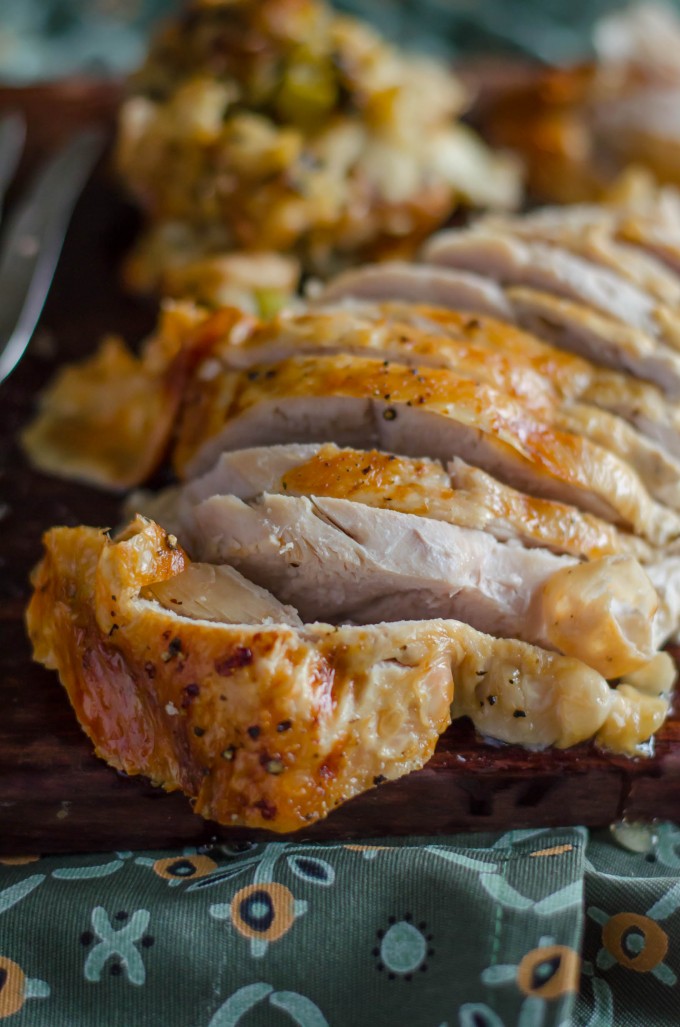 Close up of oven roasted turkey breast slices