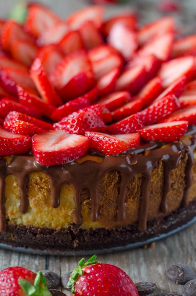 Chocolate Covered Strawberry Cheesecake - chocolate cookie crust, a layer of chocolate ganache, topped with a not-too-dense, not-too-sweet cheesecake, more ganache and fresh strawberries | Go Go Go Gourmet @gogogogourmet