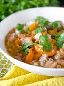 Easy Coconut Chicken Curry- coconut milk and red curry paste make these boneless chicken thighs into a fast and easy weeknight meal! | Go Go Go Gourmet @gogogogourmet