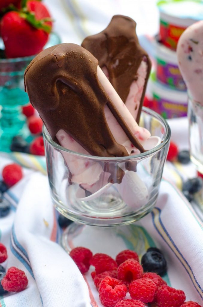 Magic Shell Frozen Yogurt Pops Go Go Go Gourmet