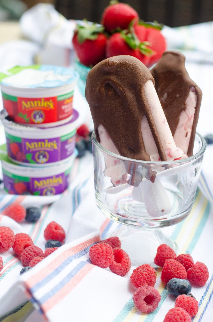 Chocolate Covered Strawberry Frozen Yogurt Pops | Go Go Go Gourmet @gogogogourmet