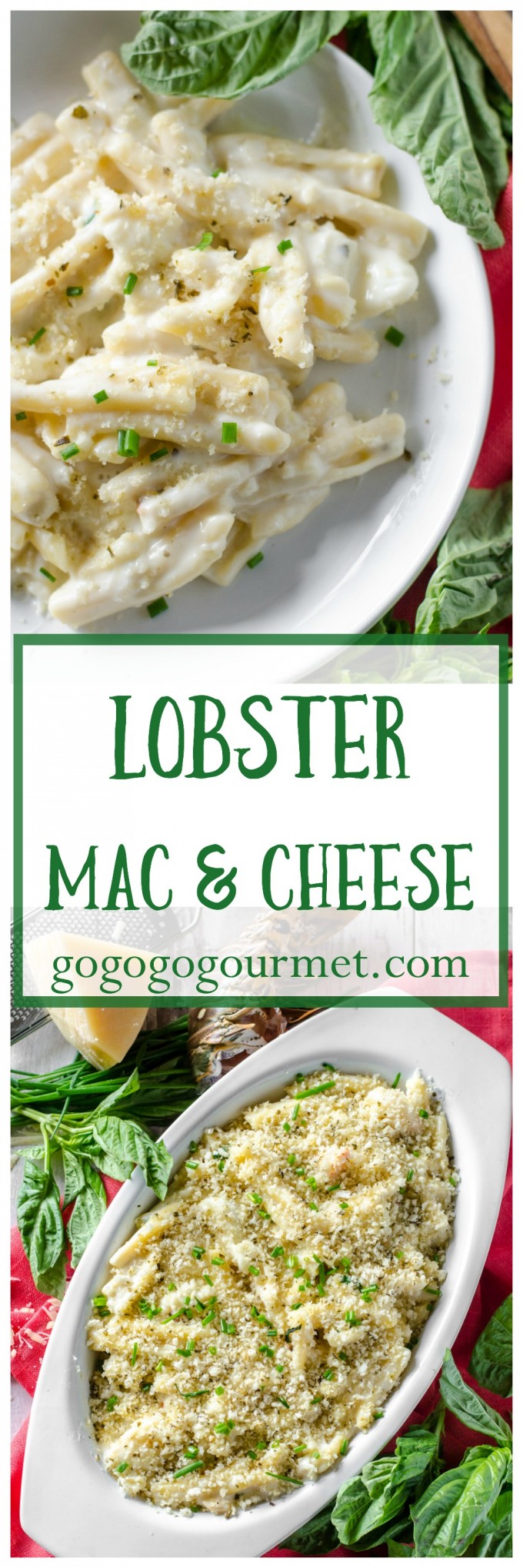 Creamy and cheesy and packed with succulent lobster, this pasta dish is sure to be a favorite main dish OR side dish! | Lobster Mac and Cheese | Go Go Go Gourmet @Go Go Go Gourmet via @gogogogourmet