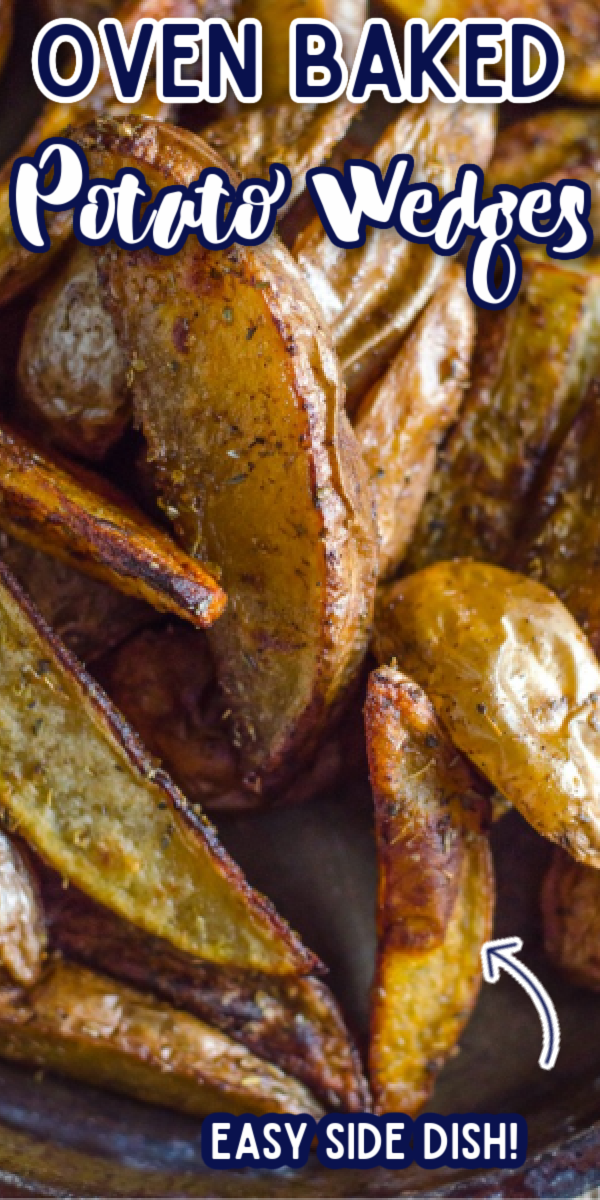 Seasoned Oven Baked Potato Wedges Go Go Go Gourmet