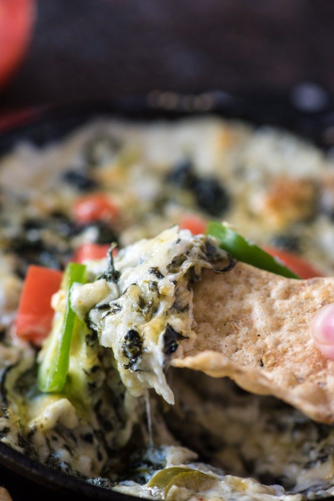 Spicy Jalepeño Spinach Cheese Dip is a quick and easy appetizer- you'll love this spicy twist on a cheesy classic! | @gogogogourmet