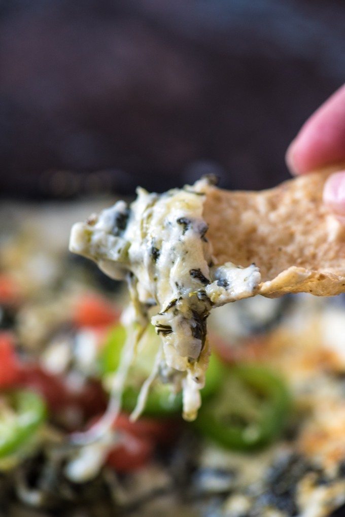 Spinach Cheese Dip Recipe | @gogogogourmet