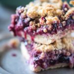 Blueberry Crumb Bars | @gogogogourmet