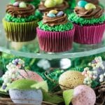 These Easter Birds Nest Cupcakes are an adorable and easy dessert to make for your Easter egg hunts! Two quick decorating maneuvers and some Easter candy are all that it takes! | @gogogogourmet