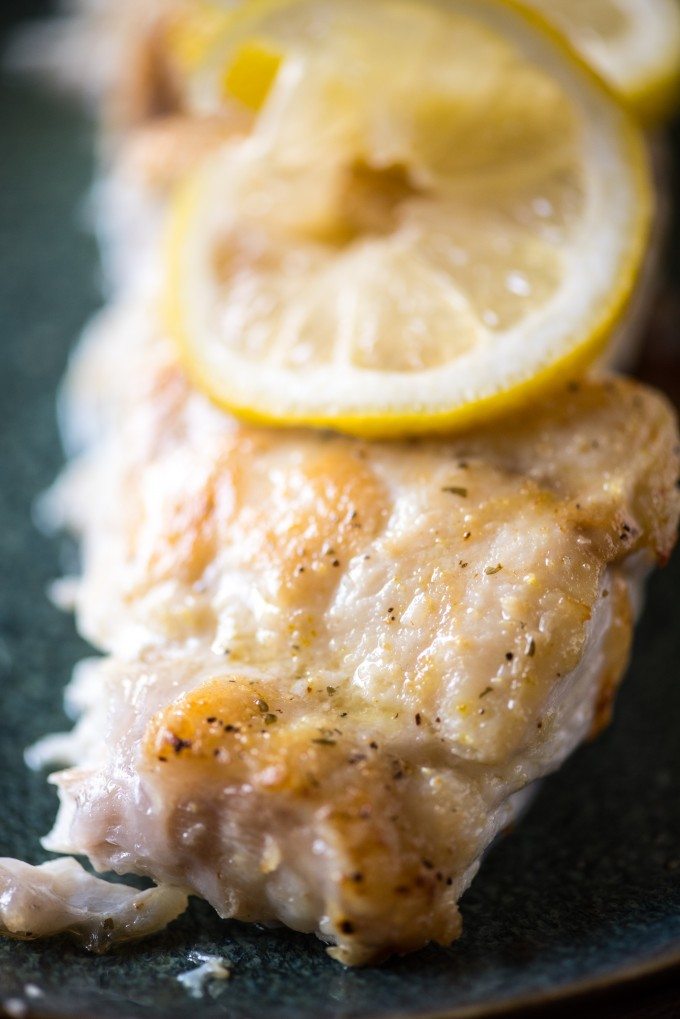 Pan-Seared Grouper- a quick sear on the stove and finished in the oven yields awesomely juicy results! | @gogogogourmet