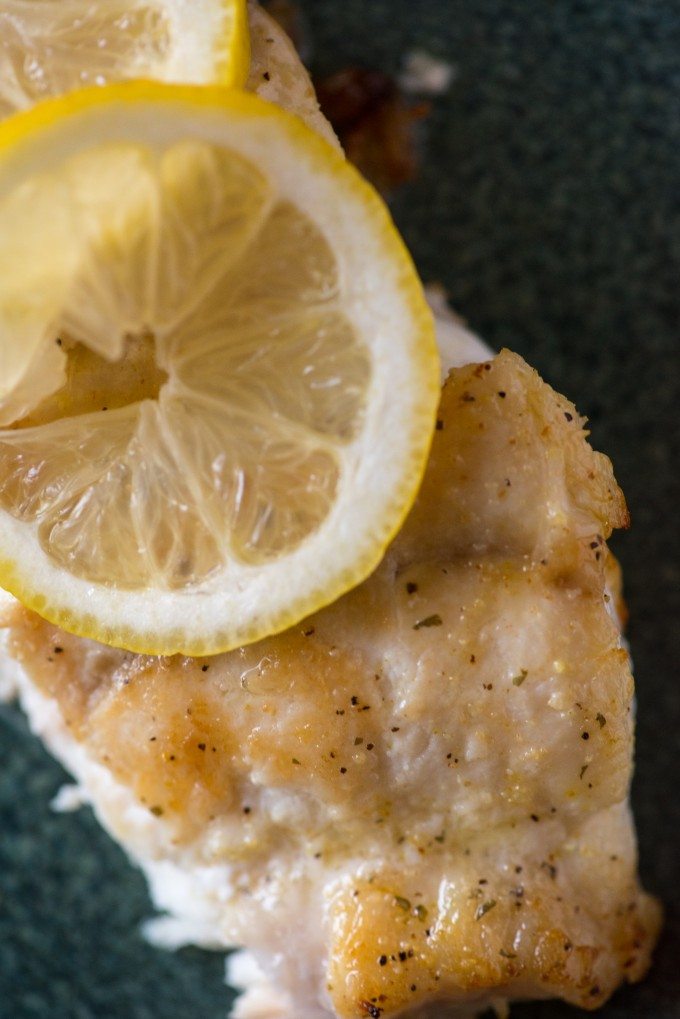 Pan-Seared Grouper- a quick sear on the stove and finished in the oven yields awesomely juicy results! | @gogogogourmet