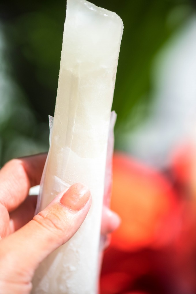 Prosecco Popsicles and 5 Great Other Poptails for Summer | @gogogogourmet