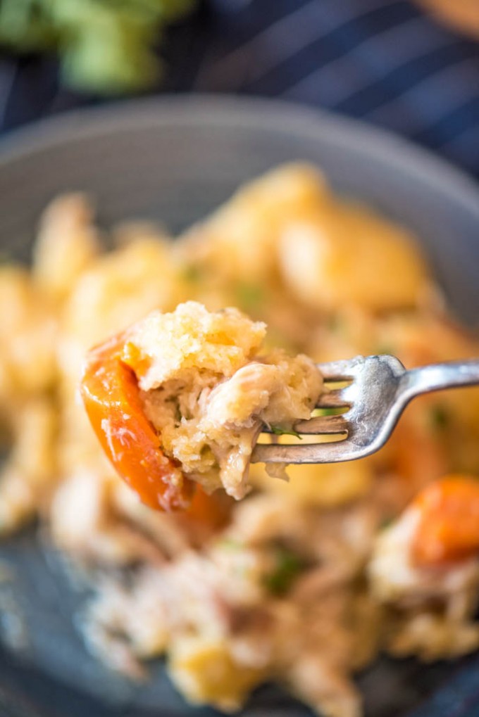 Chicken and Cheddar Bay Biscuit Dumplings done in the slow cooker! | @gogogogourmet