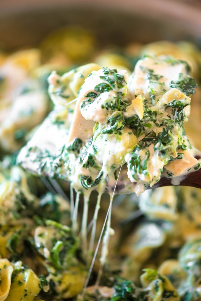 Cheesy Baked Spinach Dip Pasta! @gogogogourmet