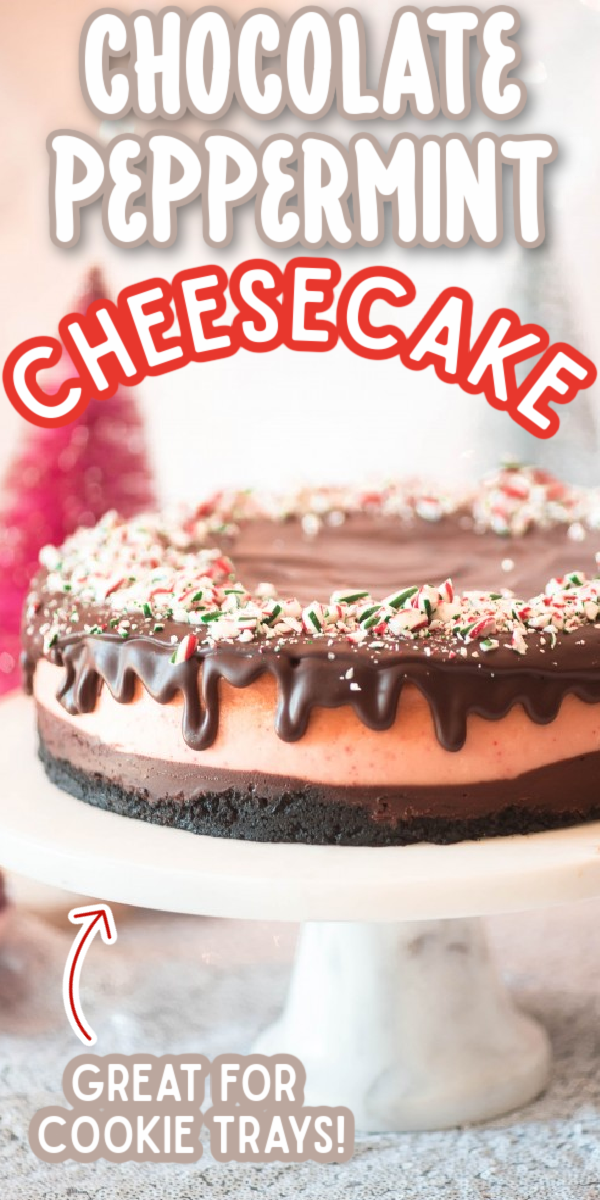 This Chocolate Peppermint Ice Cream Cheesecake recipe is easy as pie! Made with plenty of chocolate ganache and Oreo cookies, this cheesecake makes a showstopping Christmas dessert! While it isn't no bake, it is definitely worth the little bit of extra work! #gogogogourmet #chocolatepeppermintcheesecake #peppermintcheesecake #christmasdesserts via @gogogogourmet