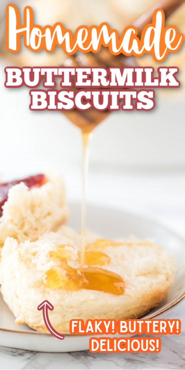 Move over Pioneer Woman, these are the best homemade buttermilk biscuits! Using self rising flour, buttermilk and butter, you will be amazed at how easy it is to make biscuits from scratch! #homemadebuttermilkbiscuits #easyhomemaderecipes #easybiscuitrecipe #gogogogourmet via @gogogogourmet