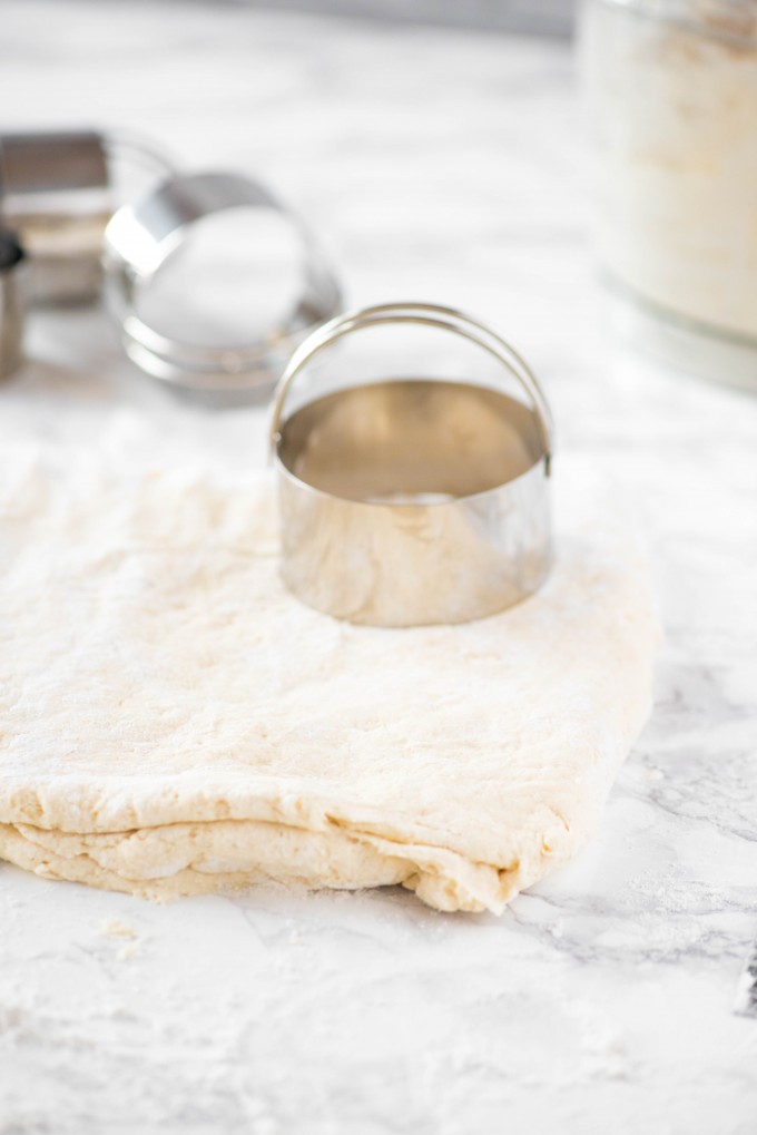 Biscuit cutter with biscuit dough