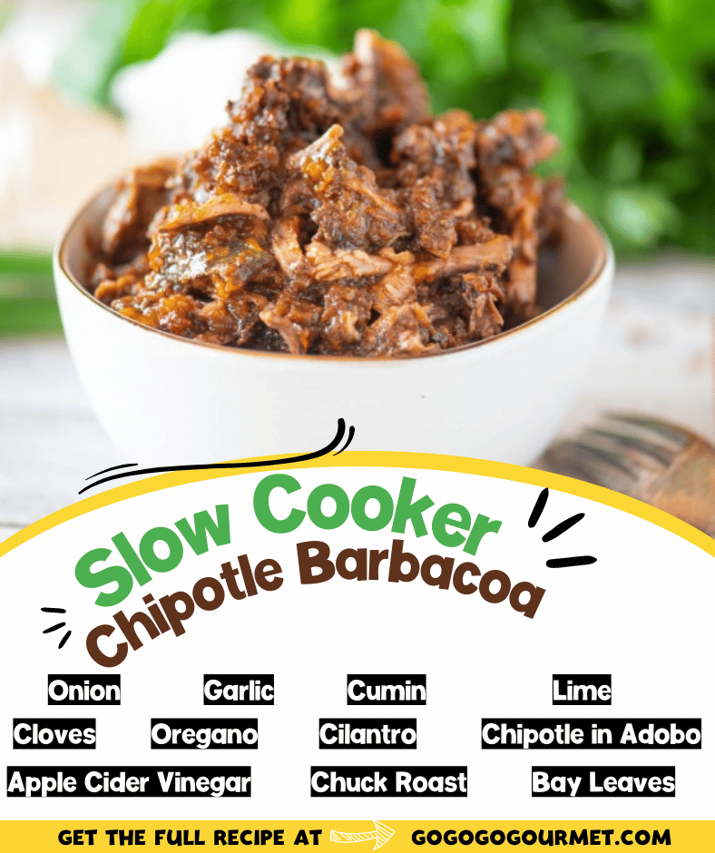 This easy copycat Chipotle Slow Cooker Barbacoa is so tasty! Pork that is full of authentic Mexican flavor is delicious made into tacos or served over rice. via @gogogogourmet