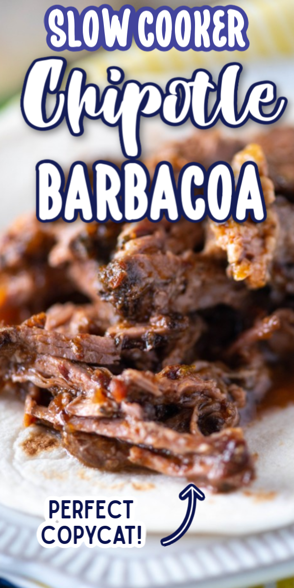 This easy copycat Chipotle Slow Cooker Barbacoa is so tasty! Pork that is full of authentic Mexican flavor is delicious made into tacos or served over rice. via @gogogogourmet