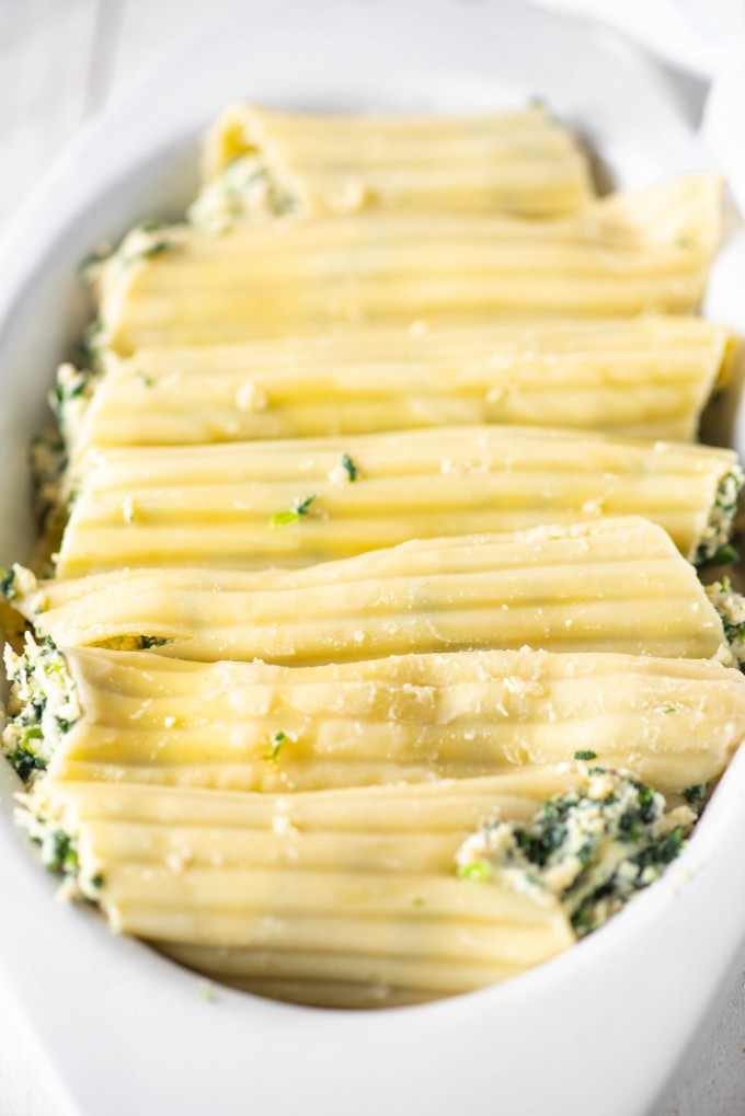 Filled manicotti noodles in a baking dish