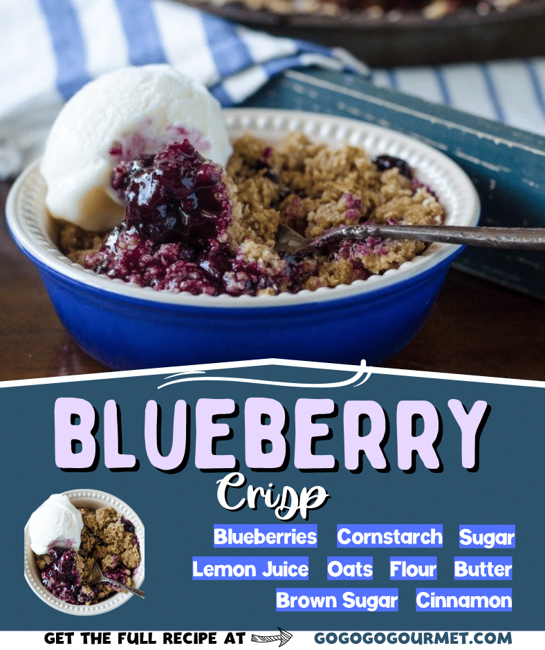 Move over Pioneer Woman, this is the BEST Blueberry Crisp recipe! Comparable to a cobbler, but with a delicious crumble on top, this dessert is perfect for summer! #bestblueberrycrisprecipe #blueberryrecipes #summerdessertrecipes #gogogogourmet via @gogogogourmet