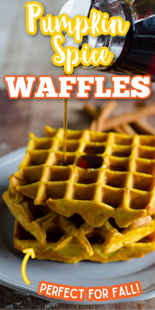 This easy Pumpkin Spice Waffles recipe is the best way to start fall mornings! Top with a healthy amount of maple syrup, and it might become your new favorite breakfast! #gogogogourmet #pumpkinspicewaffles #easypumpkinrecipes #fallbrunch via @gogogogourmet