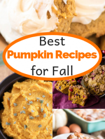 Collage of pumpkin recipes