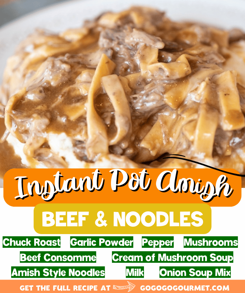 While it is also easy to make in the slow cooker or crockpot, this Instant Pot Amish Beef and Noodles recipe is even easier! It's one of those comfort foods that families love! Add it to your line up of dinners and casseroles! #gogogogourmet #instantpotamishbeefandnoodles #easycomfortfoods #easyinstantpotrecipes via @gogogogourmet