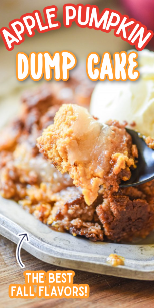 This easy Apple Pumpkin Dump Cake recipe is just what you need this fall! It's an easy dessert with only a few ingredients and 10 minutes of work! It might even be better than the Pioneer Woman recipe! #gogogogourmet #applepumpkindumpcake #dumpcakerecipes #pumpkinrecipes #falldesserts via @gogogogourmet