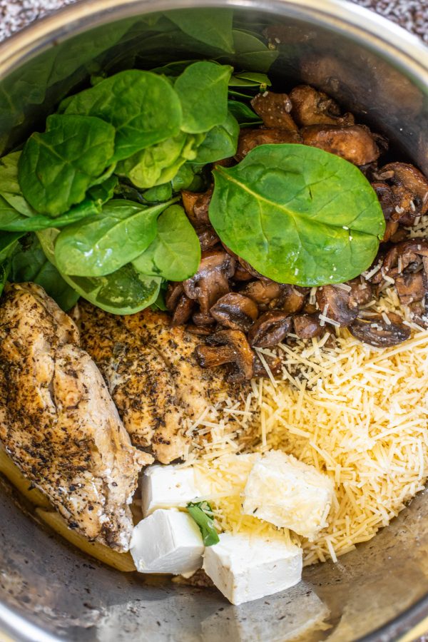 Overhead view of ingredients for Instant Pot pasta