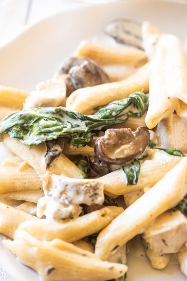 Close up of Instant Pot pasta on a plate